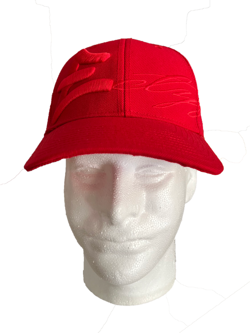 Hybrid Logo Cap